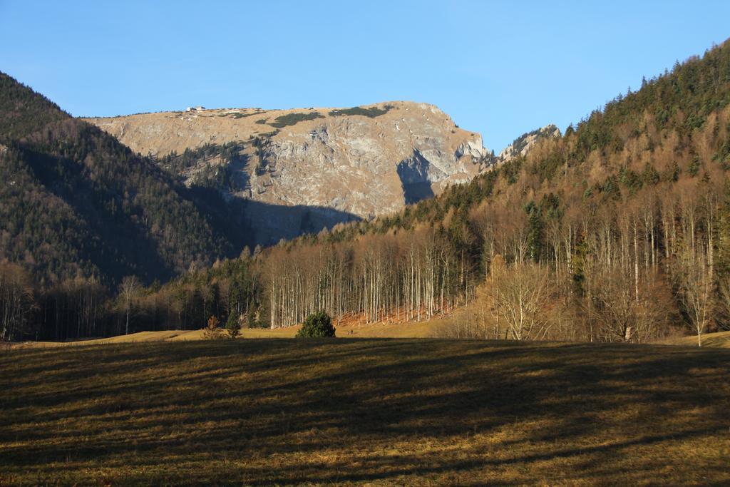 Haus Seeschwalbe Saint Wolfgang Eksteriør bilde